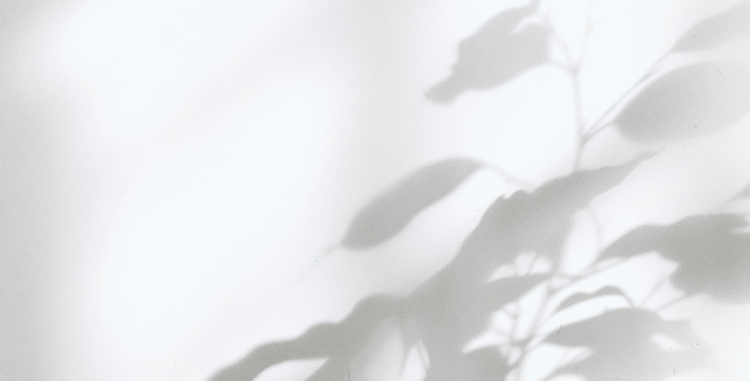 Schonekind Kosmetik Banner